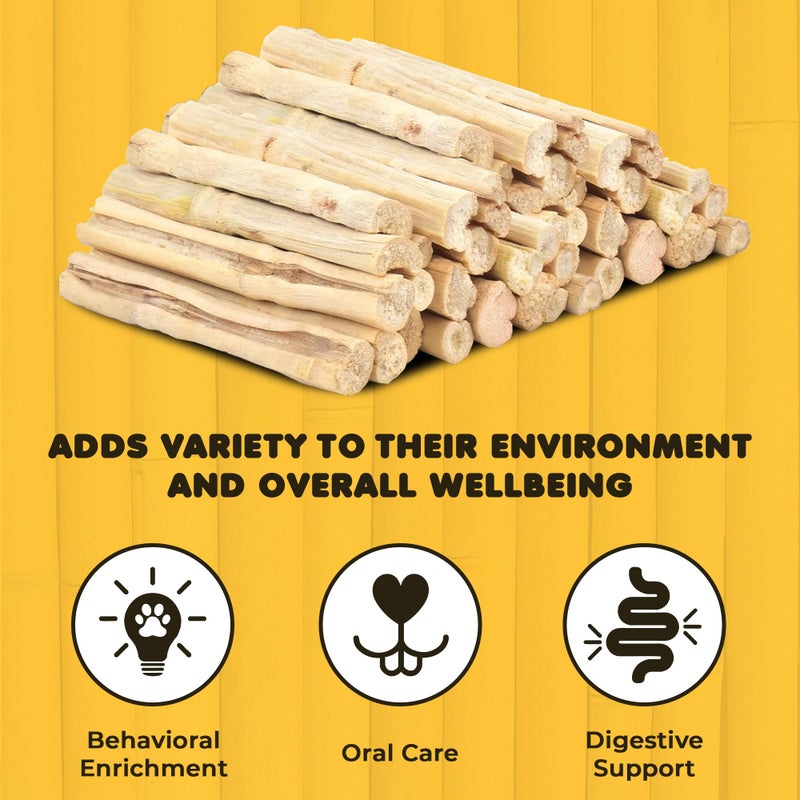 SunGrow Sweet Bamboo Chew Sticks for Rabbits, 100g (3.5 oz) Bunny Molar Chew Sticks for Guinea Pigs, Chinchillas, Gerbils, Hamsters and Small Animals - Image 3